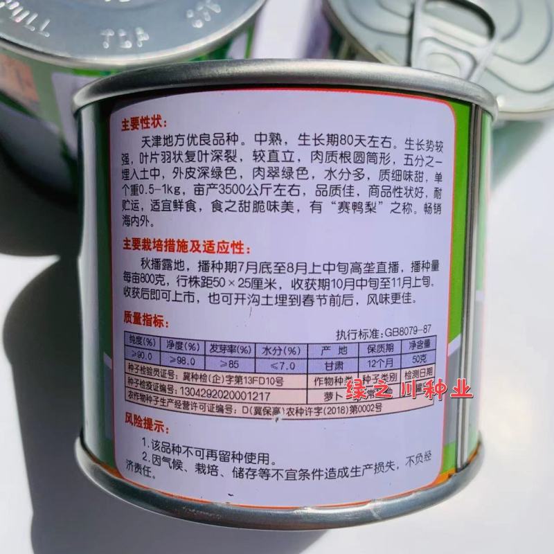 正宗天津沙窝萝卜种子肉翠绿色水果型萝卜种子甜脆味美