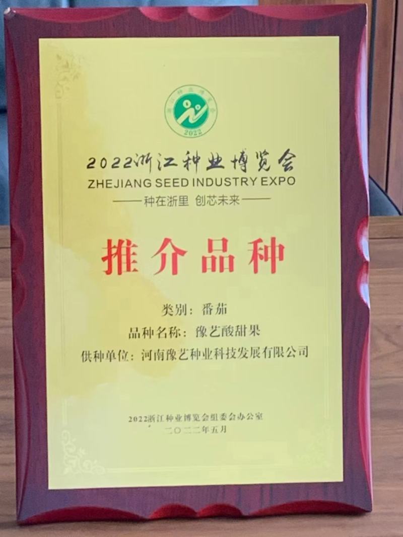 珍玉松花80青梗花菜种子松大囗感好单球重2000克商品性