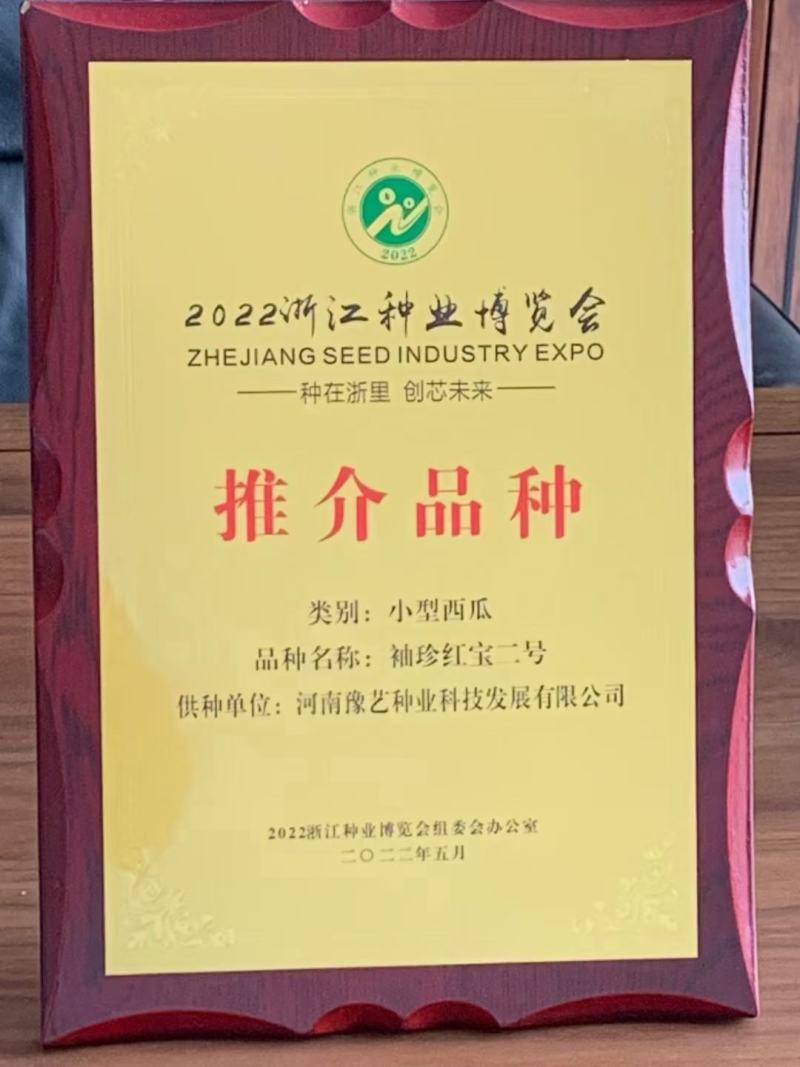珍玉松花80青梗花菜种子松大囗感好单球重2000克商品性