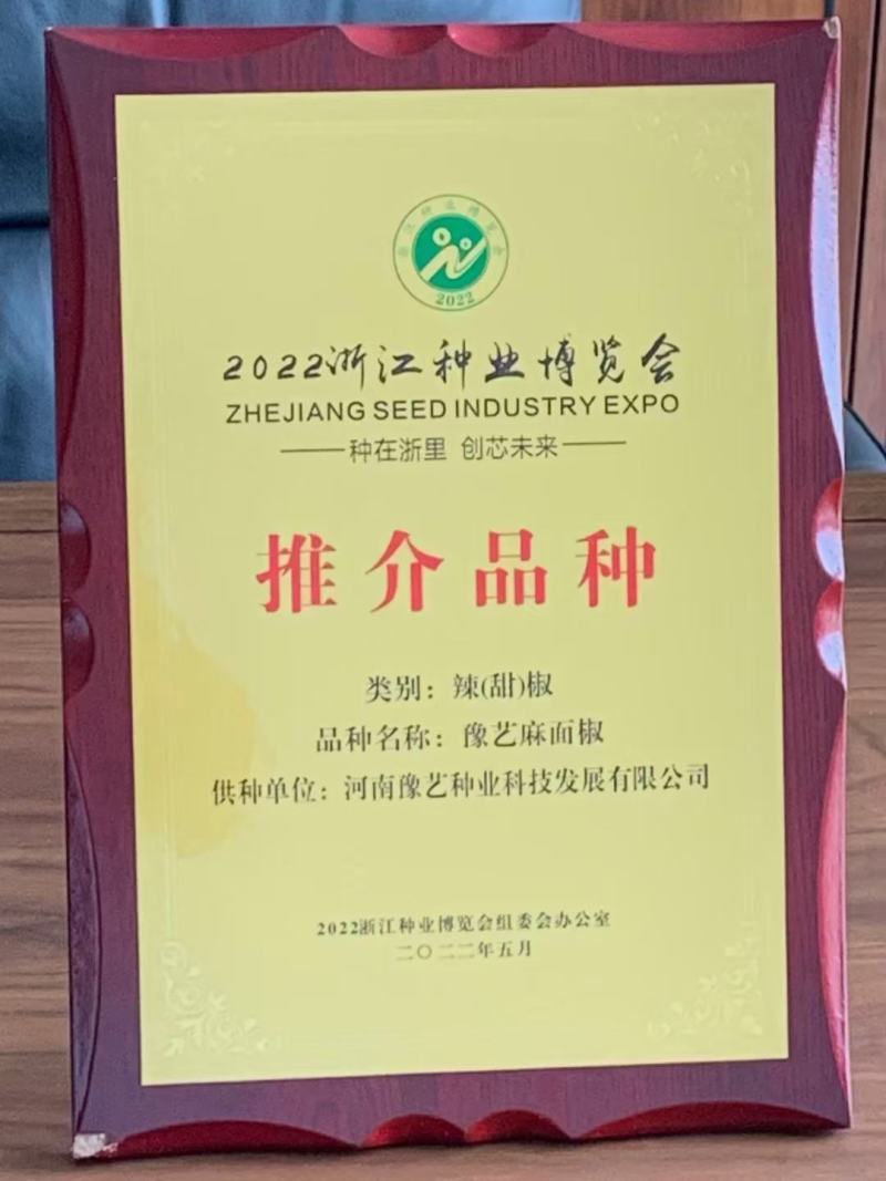 珍玉松花80青梗花菜种子松大囗感好单球重2000克商品性