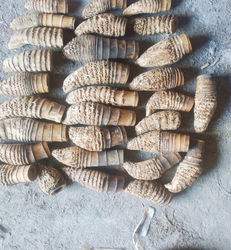 经品楠竹兜雕刻摆件，金蝉雕刻毛料。0