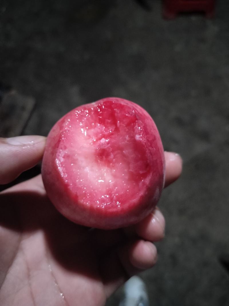 脱骨李