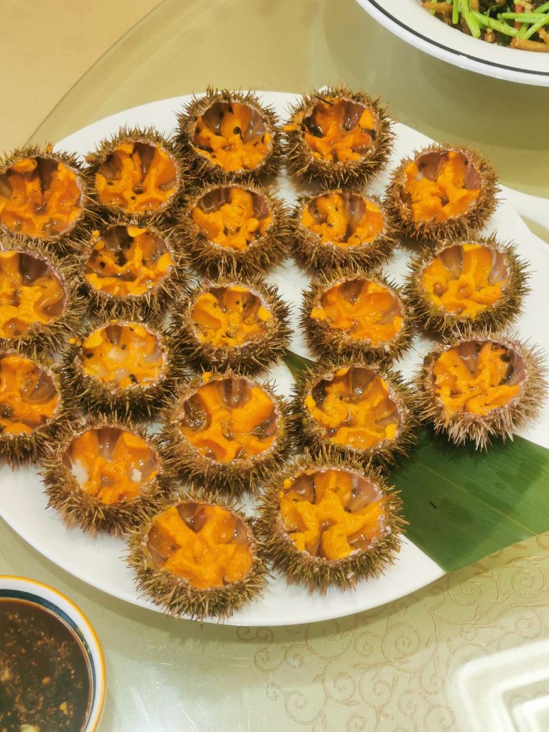 活鲜马粪海胆