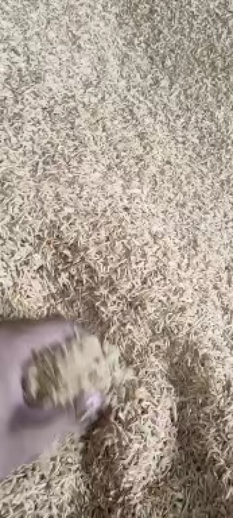 压缩稻壳，袋装散稻壳打包稻壳，米厂直供，常年有货。
