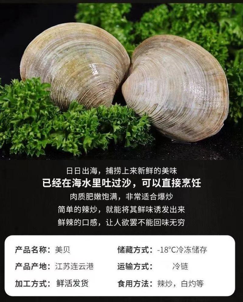 《5斤超大蛤蜊包活到家》无沙新鲜活花甲蛤蜊多省包邮