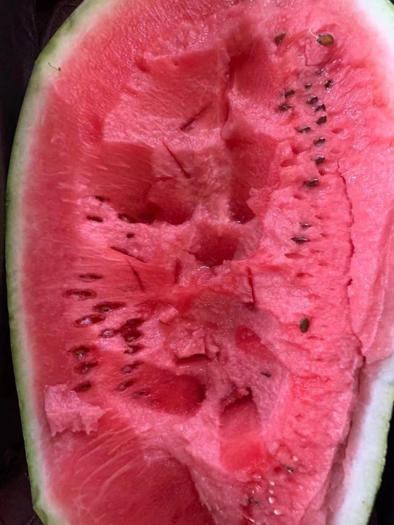 宁夏硒砂瓜个大甜度高包熟包甜一手货源可视频看货欢迎订购