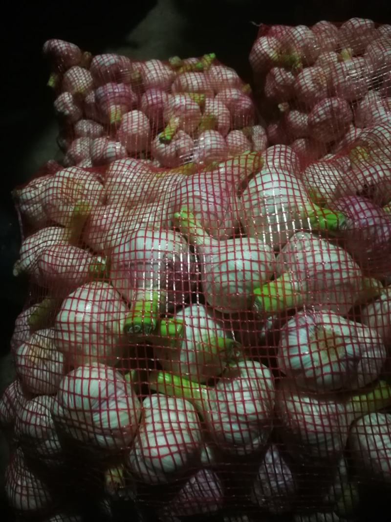 扒皮鲜蒜