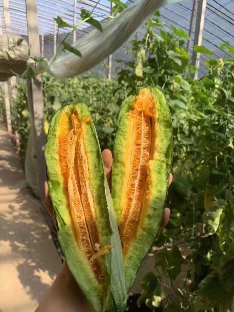羊角蜜瓜