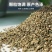 芹菜籽新货芹菜籽可打粉量大从优产地直销欢迎采购