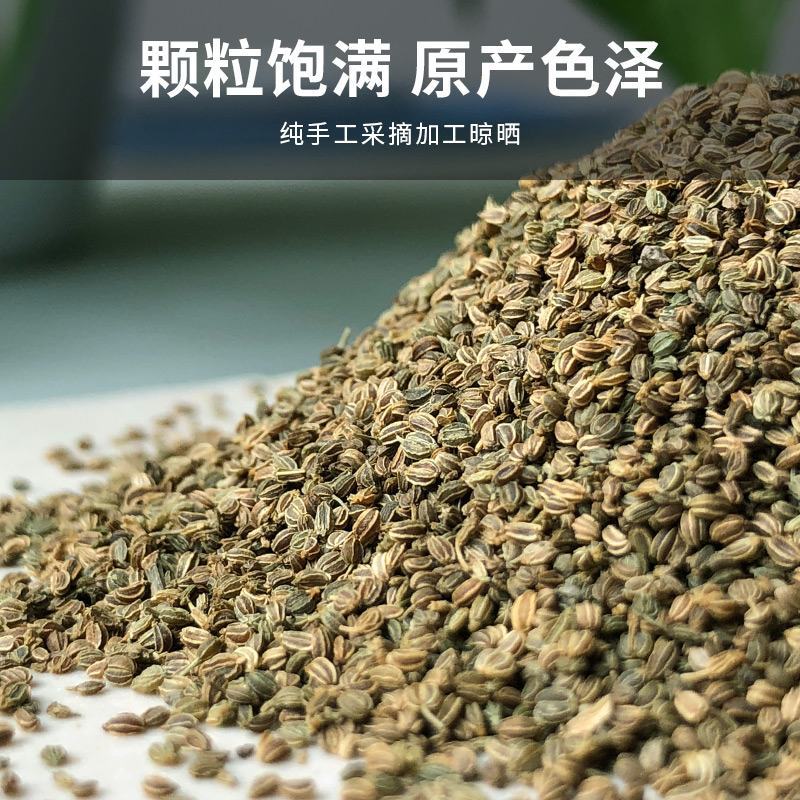 芹菜籽新货芹菜籽可打粉量大从优产地直销欢迎采购