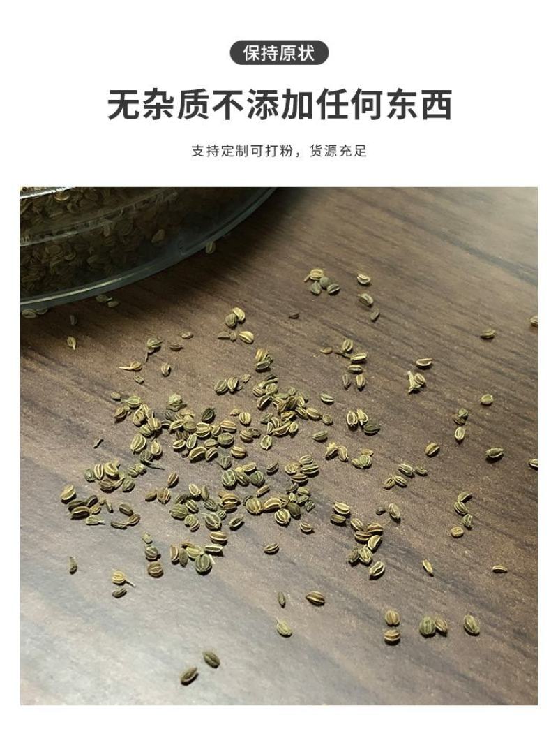 芹菜籽新货芹菜籽可打粉量大从优产地直销欢迎采购