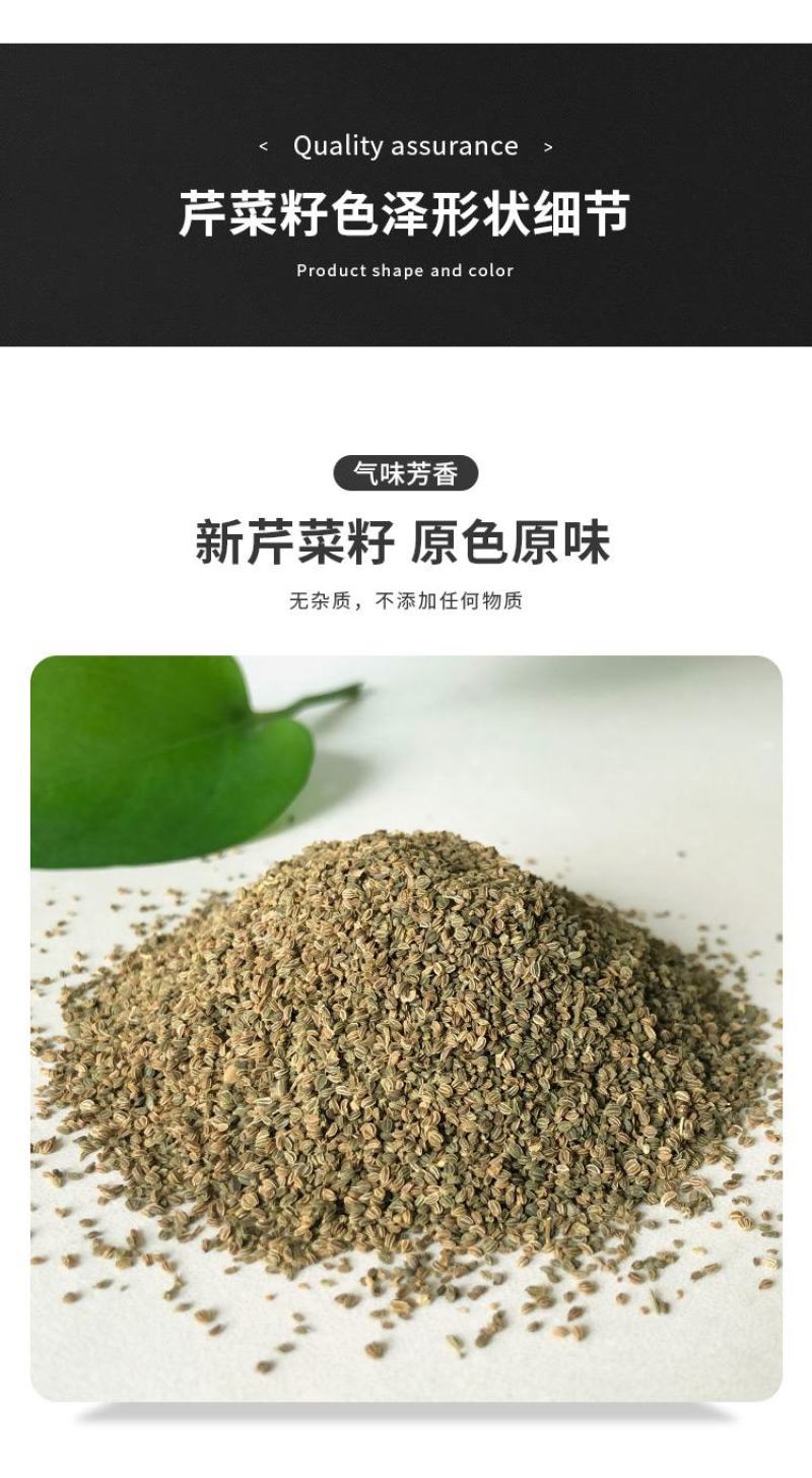 芹菜籽新货芹菜籽可打粉量大从优产地直销欢迎采购