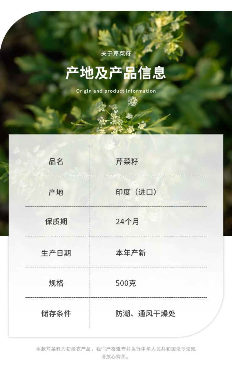 芹菜籽新货芹菜籽可打粉量大从优产地直销欢迎采购