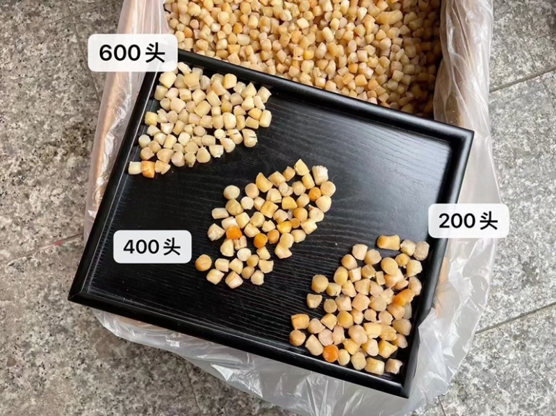 大连瑶柱干贝元贝新鲜干货500g扇贝柱干贝元贝