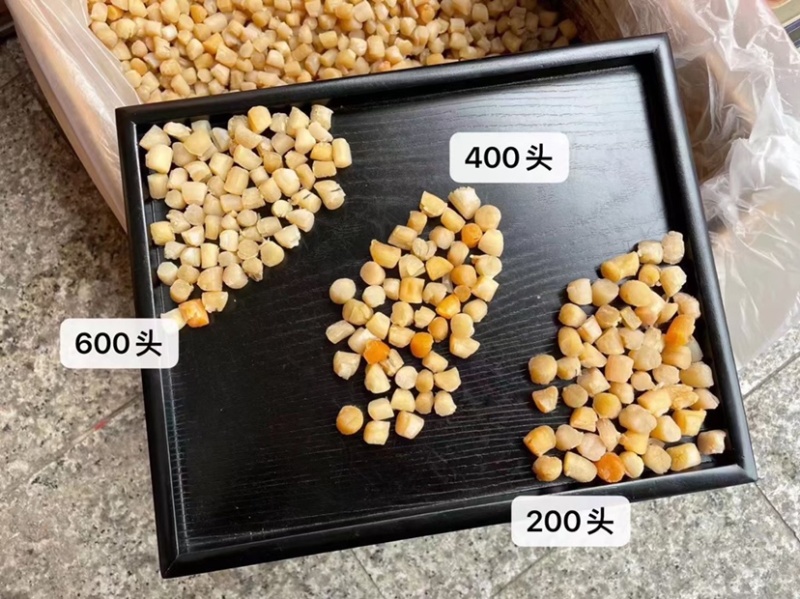 大连瑶柱干贝元贝新鲜干货500g扇贝柱干贝元贝