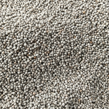 白苏子厂家大量出货白苏子灰苏子紫苏子高质量出油高