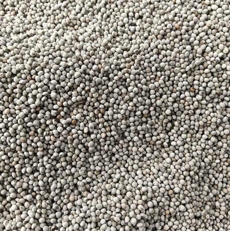 白苏子厂家大量出货白苏子灰苏子紫苏子高质量出油高
