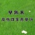 早熟禾草坪草籽，四季常青庭院绿化地毯草种子草皮籽草坪种子