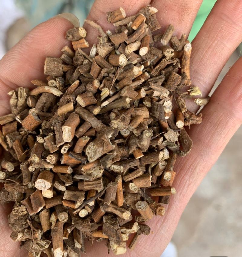 寻骨风统装500g产地山西振兴药材购销站量大从优