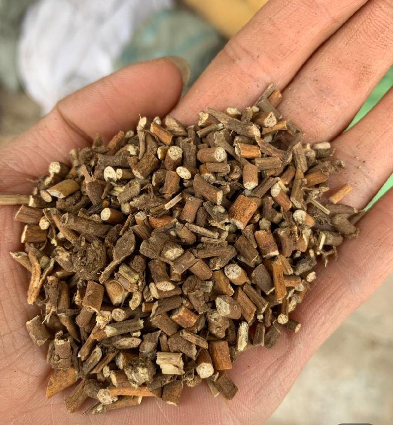 寻骨风统装500g产地山西振兴药材购销站量大从优
