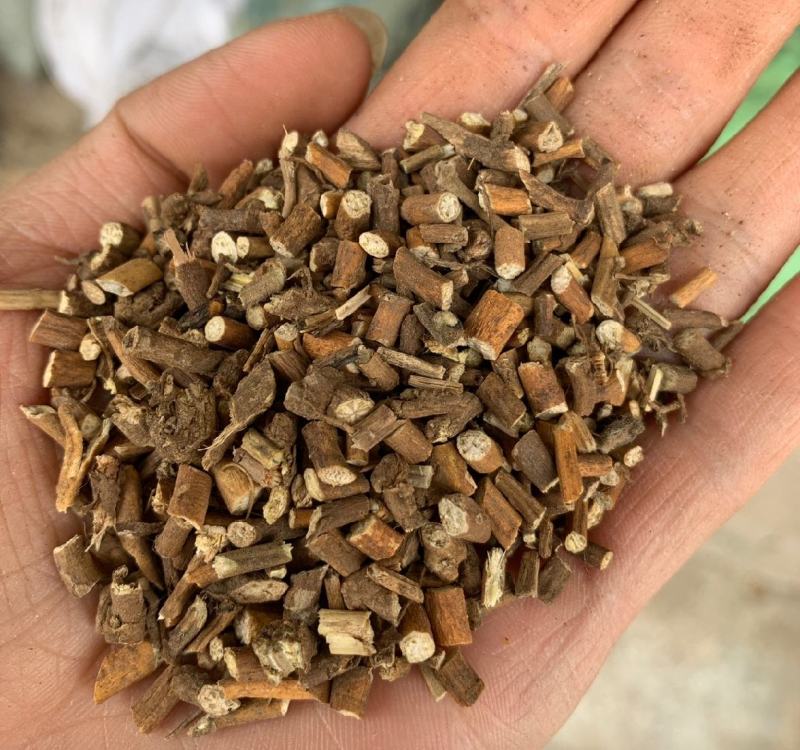 寻骨风统装500g产地山西振兴药材购销站量大从优