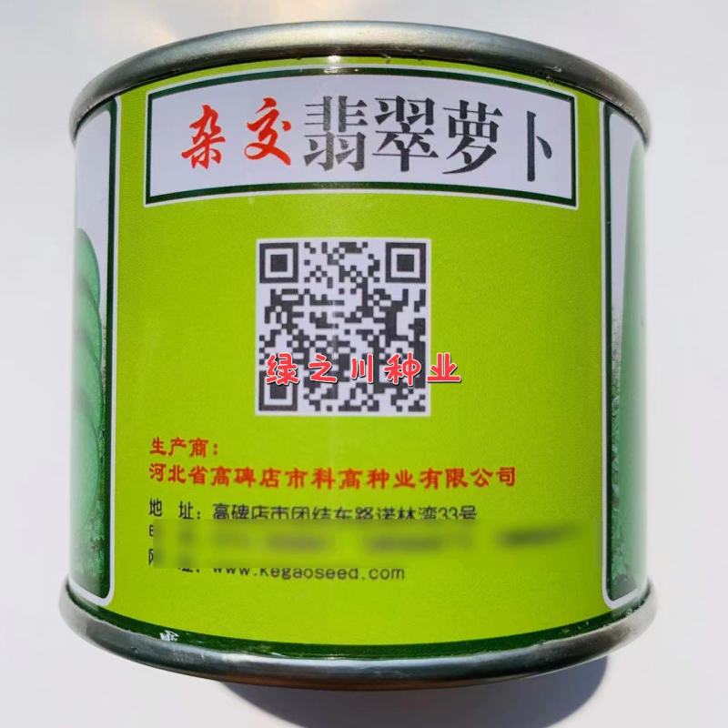 杂交翡萝卜种子，生食脆甜耐贮存肉色翠绿水果萝卜种子杂交