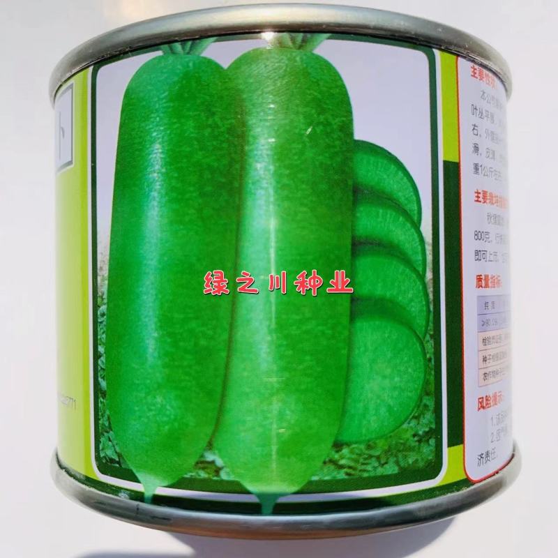 杂交翡萝卜种子，生食脆甜耐贮存肉色翠绿水果萝卜种子杂交
