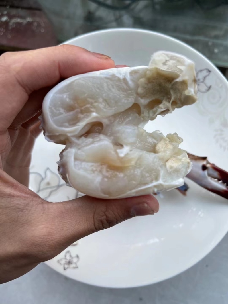液氮冷冻梭子蟹，舟山梭子蟹！品质超级好！价格美丽！私聊
