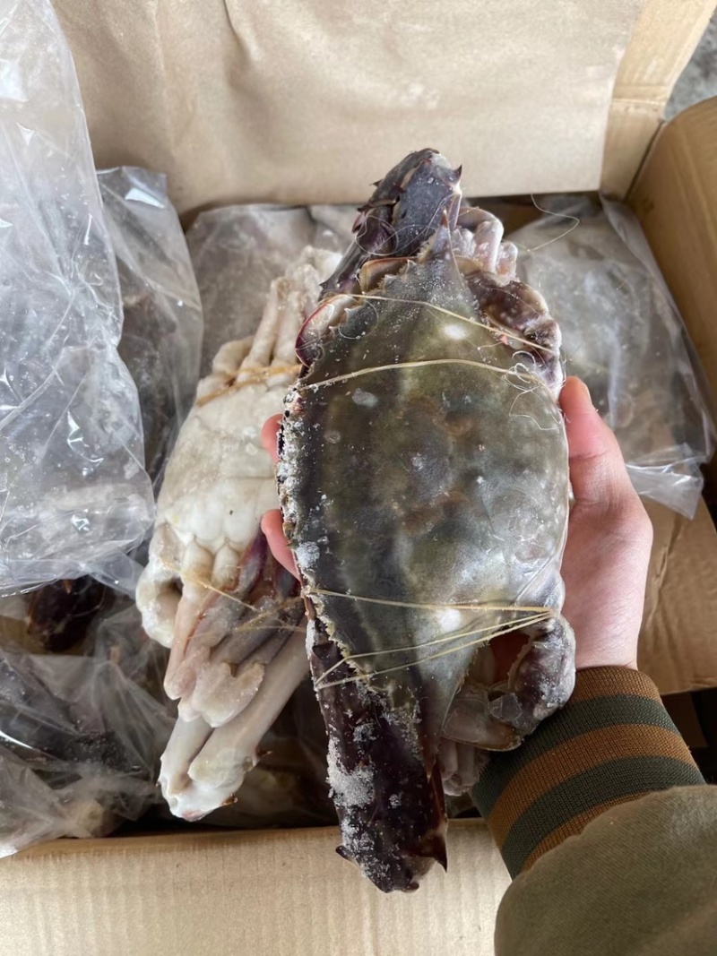 液氮冷冻梭子蟹，舟山梭子蟹！品质超级好！价格美丽！私聊