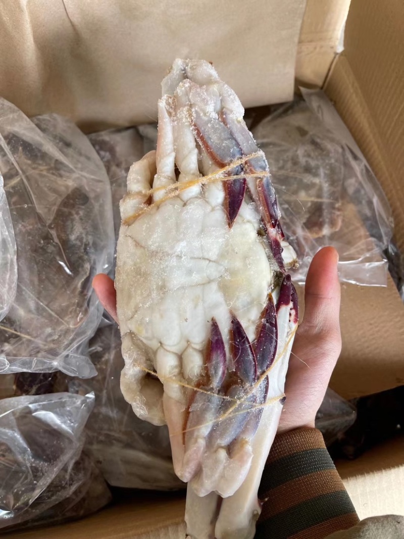 液氮冷冻梭子蟹，舟山梭子蟹！品质超级好！价格美丽！私聊