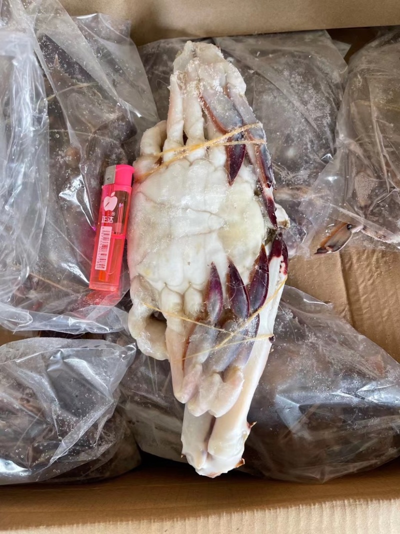 液氮冷冻梭子蟹，舟山梭子蟹！品质超级好！价格美丽！私聊
