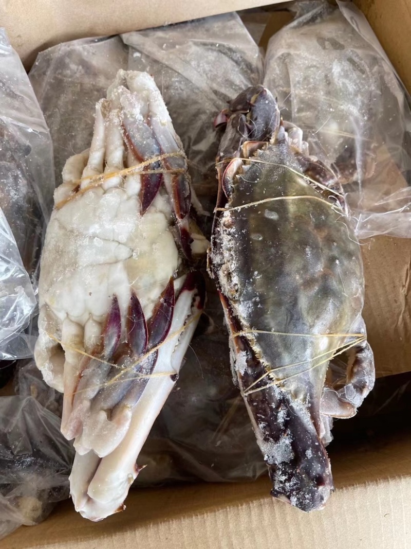 液氮冷冻梭子蟹，舟山梭子蟹！品质超级好！价格美丽！私聊