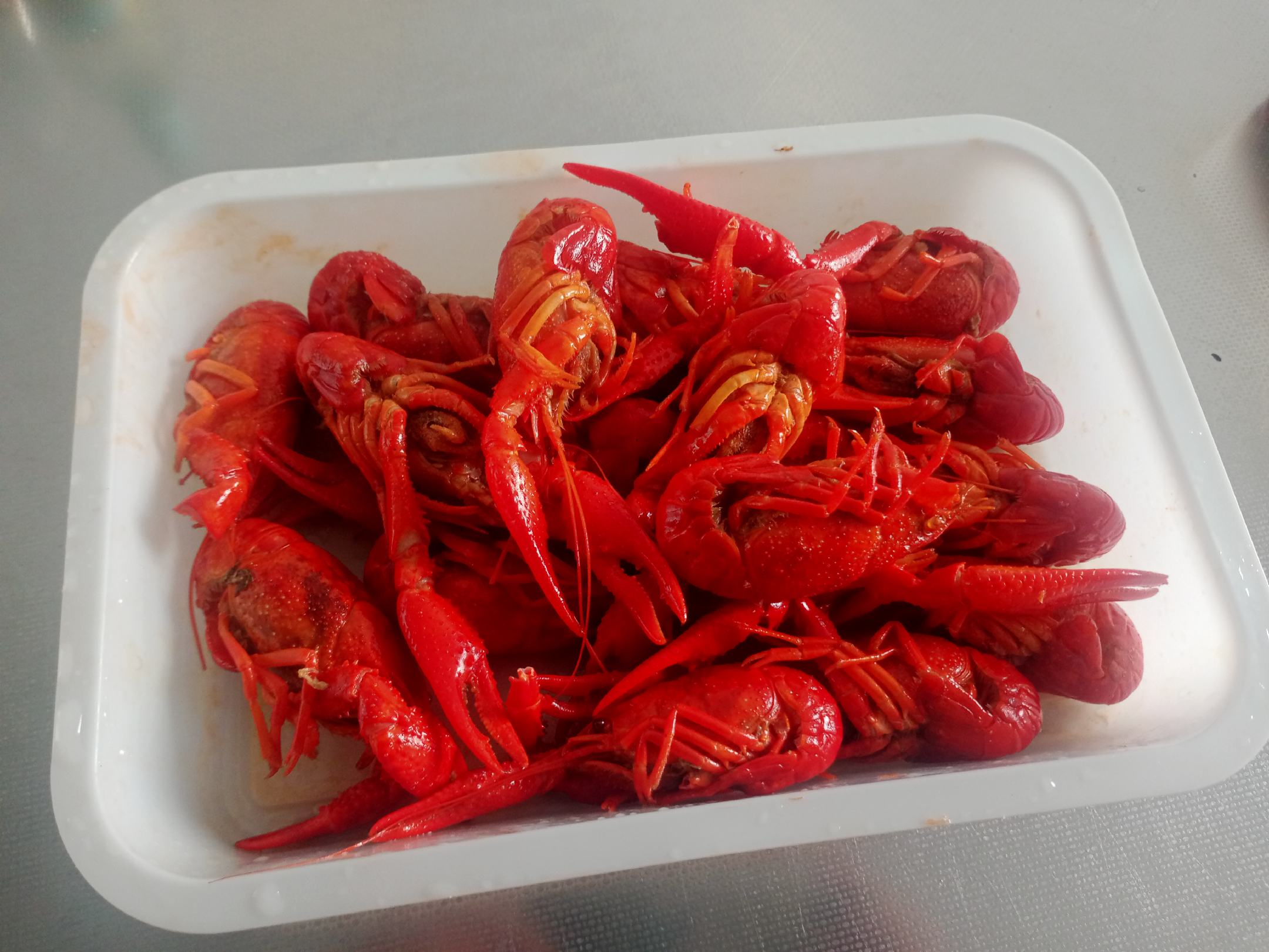 美食营养学场景图:热食(小龙虾)与冷食(火龙果)的科学配伍视觉化呈现,强调温度、色彩、质地三重对比,传递‘热中和、凉不伤’的中医食养逻辑与现代营养协同理念 小龙虾与红心火龙果并置摆盘,左侧为油亮红润的十三香小龙虾(带完整虾头与弯曲虾尾),右侧为新鲜切块的红心火龙果(紫红果肉+黑籽),中间用薄荷叶自然分隔,背景为浅木纹餐桌,突出食材本真色泽与对比张力