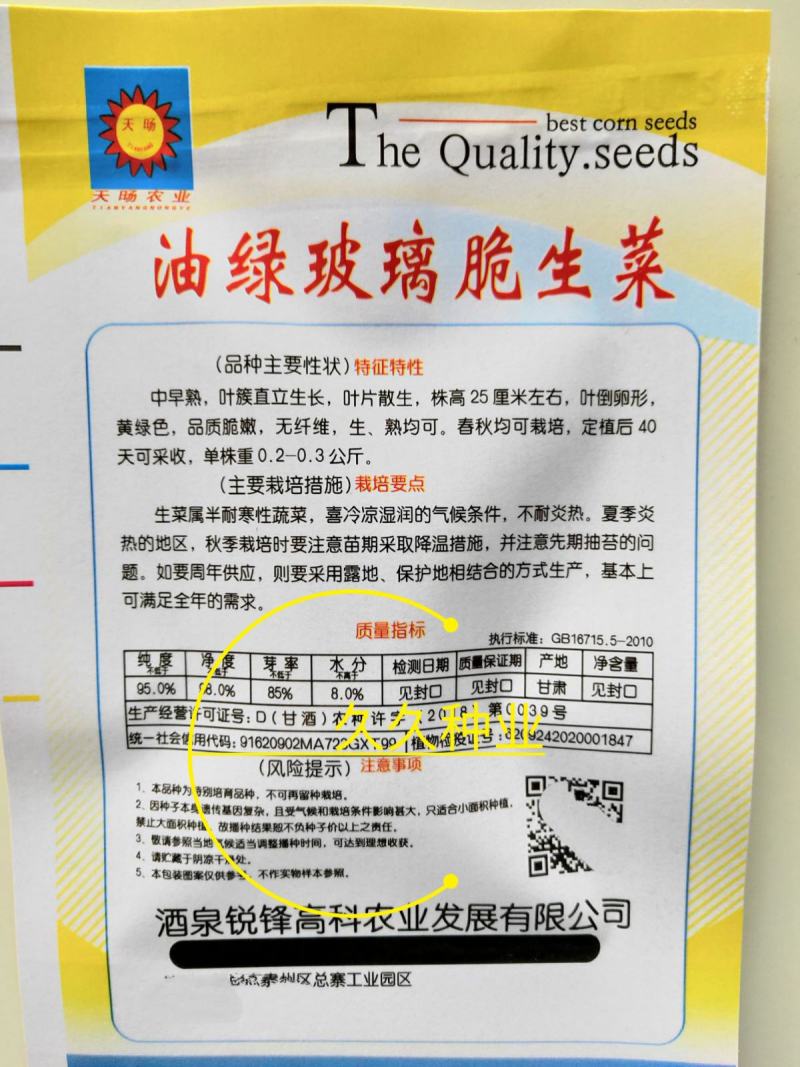 生菜籽种子四季球生菜生吃脆甜玻璃生菜种子阳台盆栽秋季蔬菜