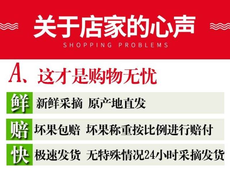 新疆恰玛古柯坪县新鲜蔬菜恰玛古强碱食物5斤蔓菁芜菁炖肉煲