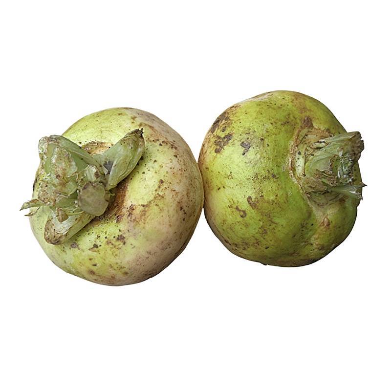 新疆恰玛古柯坪县新鲜蔬菜恰玛古强碱食物5斤蔓菁芜菁炖肉煲