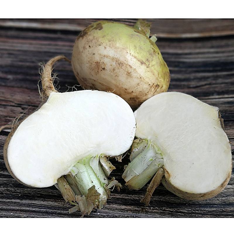 新疆恰玛古柯坪县新鲜蔬菜恰玛古强碱食物5斤蔓菁芜菁炖肉煲