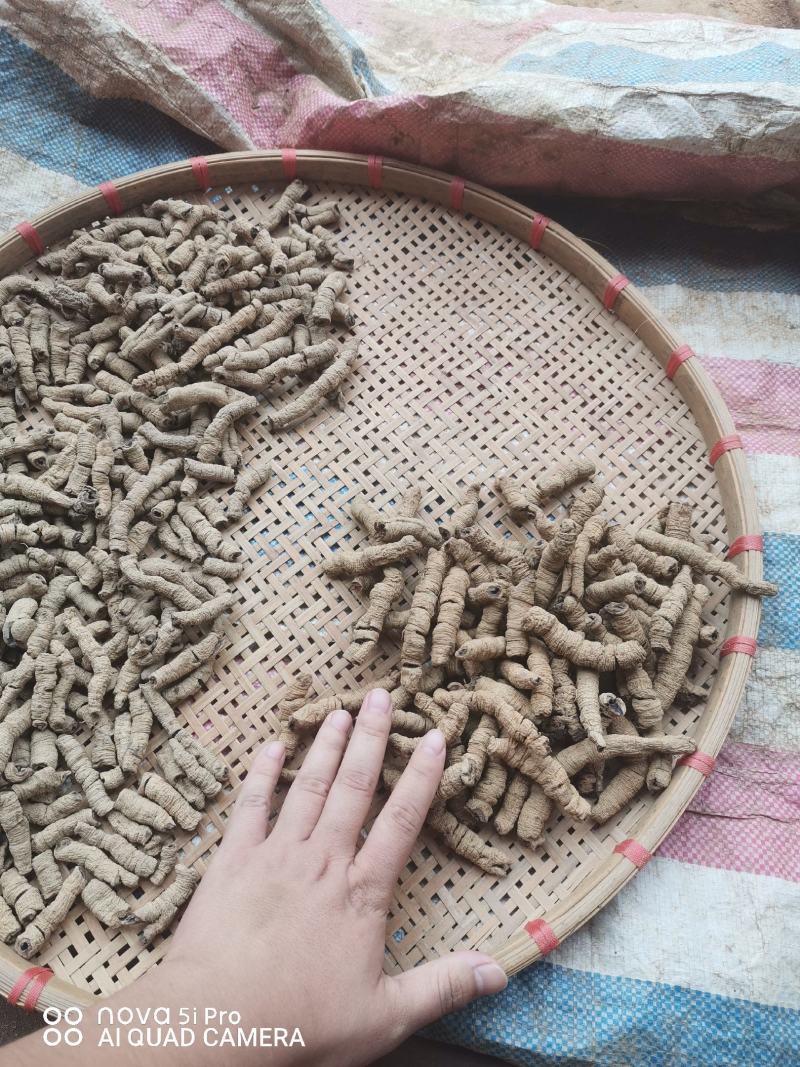 标头干货