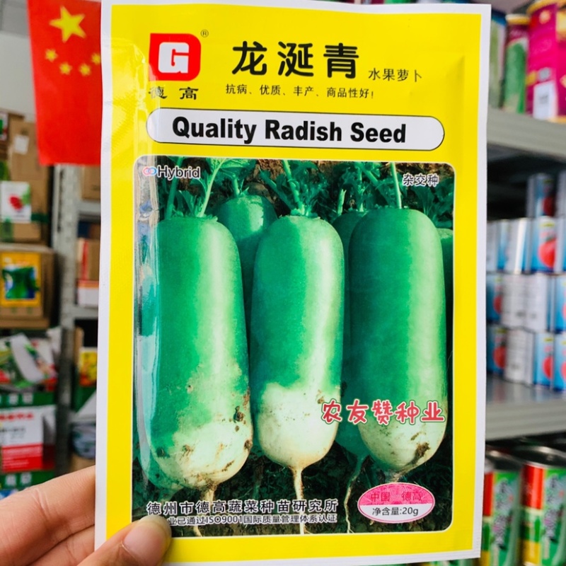 一代杂交德高龙涎青萝卜种子高抗病水果萝卜种子基地专用