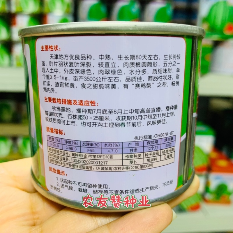 天津正宗沙窝萝卜种子质细味甜有赛鸭梨之称水果萝卜种子