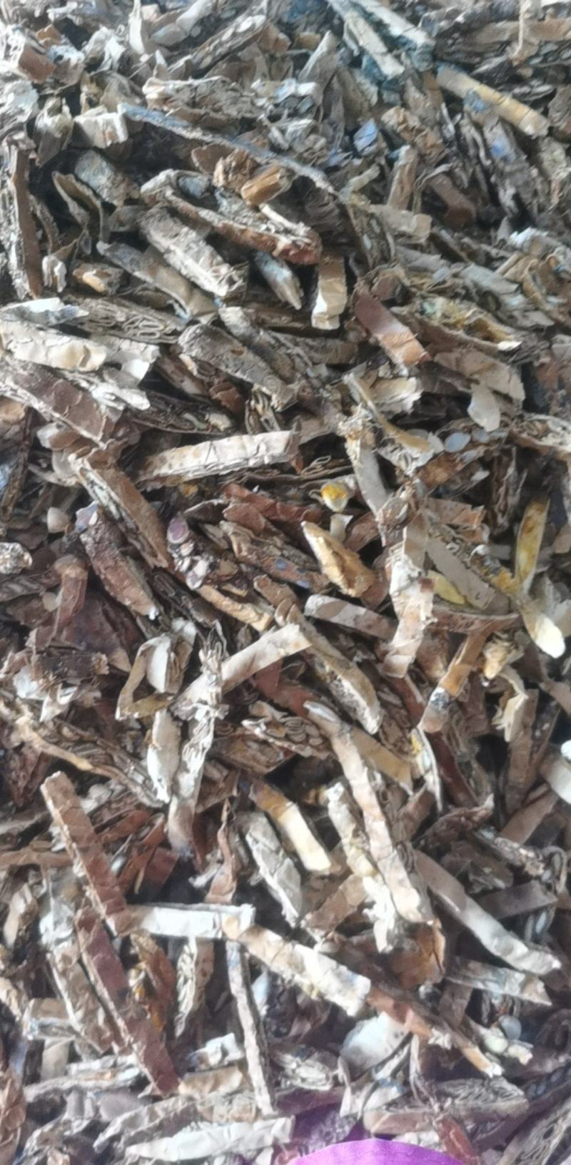瓜蒌统装500g产地山东振兴药材购销站量大从优