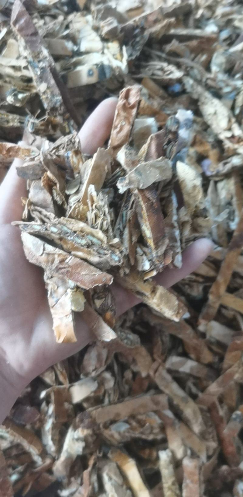 瓜蒌统装500g产地山东振兴药材购销站量大从优