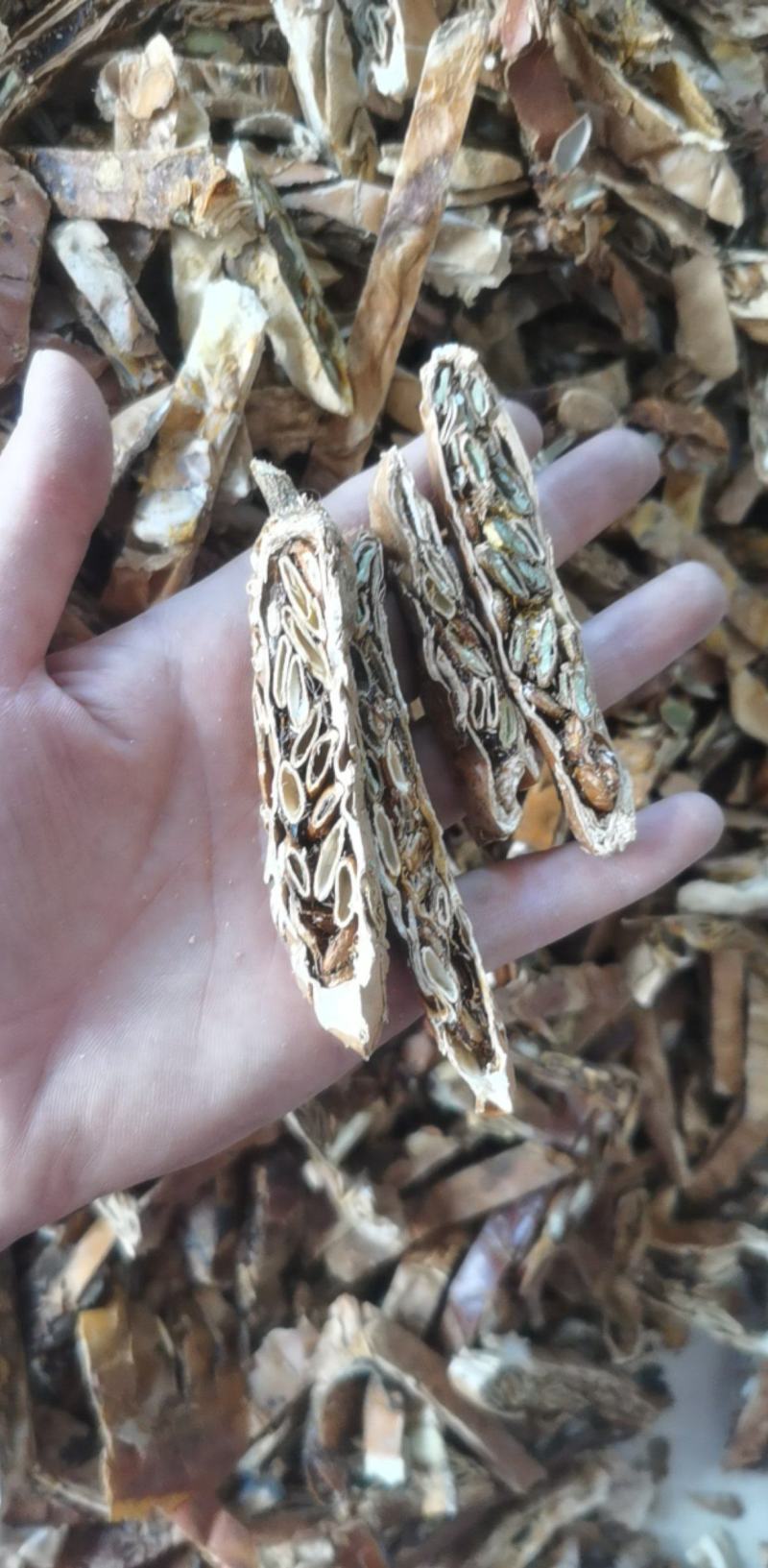 瓜蒌统装500g产地山东振兴药材购销站量大从优