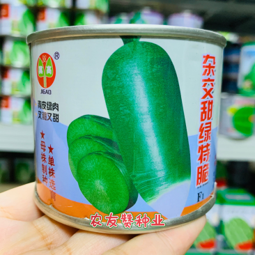 一代杂交甜绿特脆萝卜种子生长快色泽鲜绿又脆又甜青萝卜种子