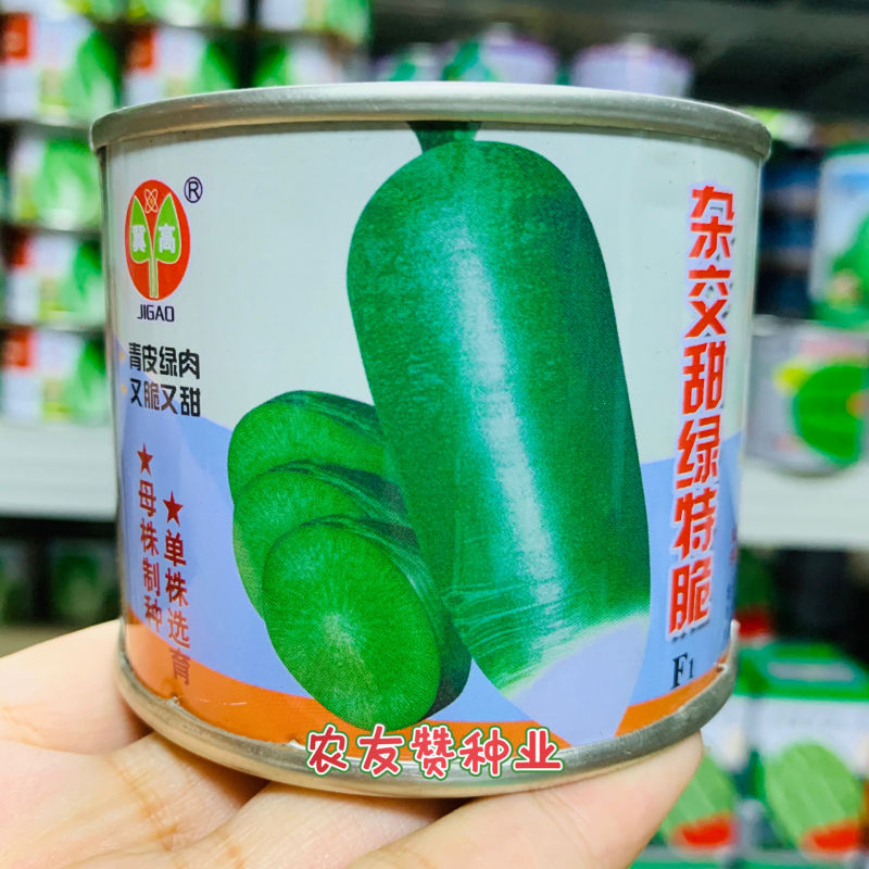 一代杂交甜绿特脆萝卜种子生长快色泽鲜绿又脆又甜青萝卜种子