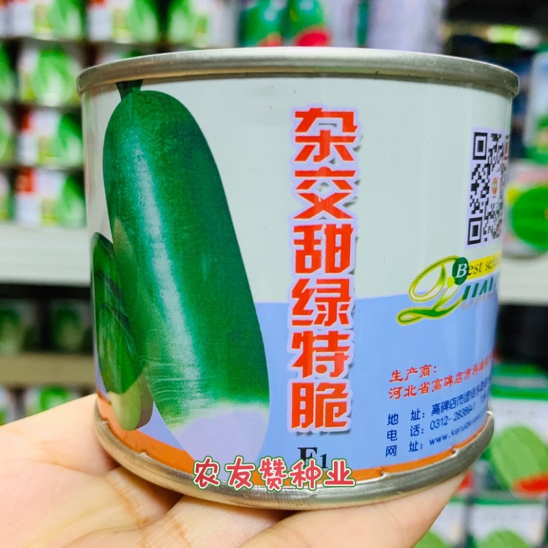 一代杂交甜绿特脆萝卜种子生长快色泽鲜绿又脆又甜青萝卜种子