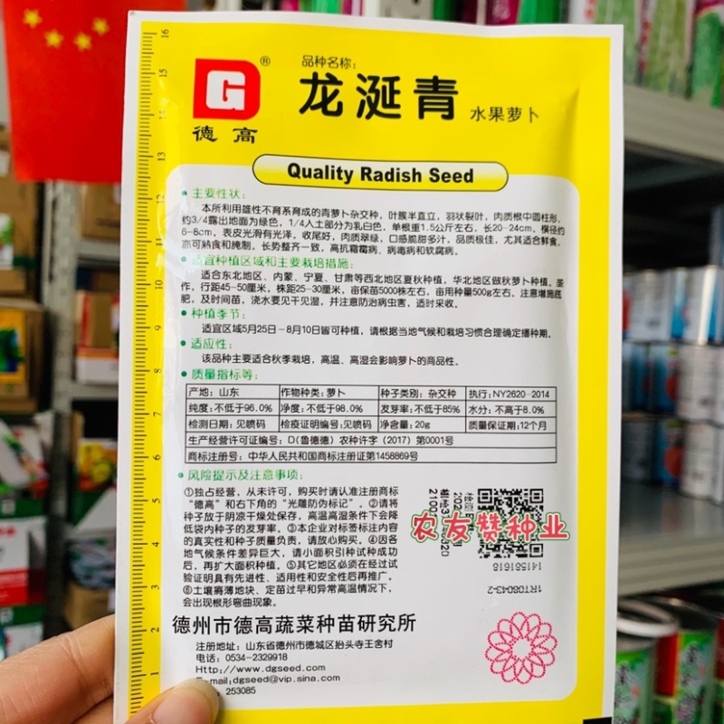 精品水果萝卜种子德高龙涎青抗病青萝卜杂交种籽鲜食萝卜