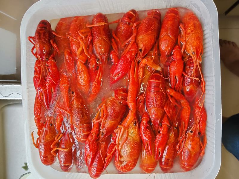 456清水虾，量大从优。新宏业品牌。