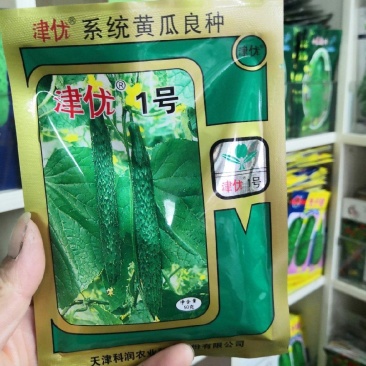 高产优质杂交种子