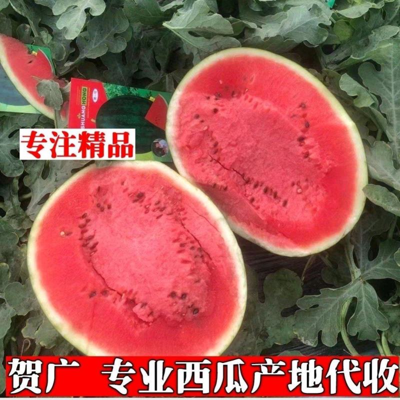 吉林大安西瓜安广西瓜今日价格产地直供可视频看货